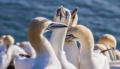 开云体育-中国乒乓球队爆冷韩国，王皓惊艳世界的璀璨瞬间